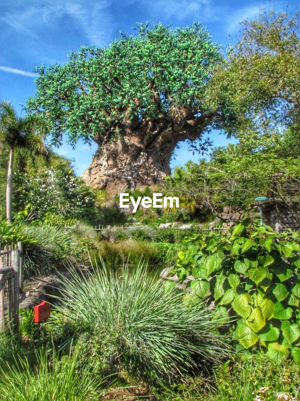 TREES ON LANDSCAPE