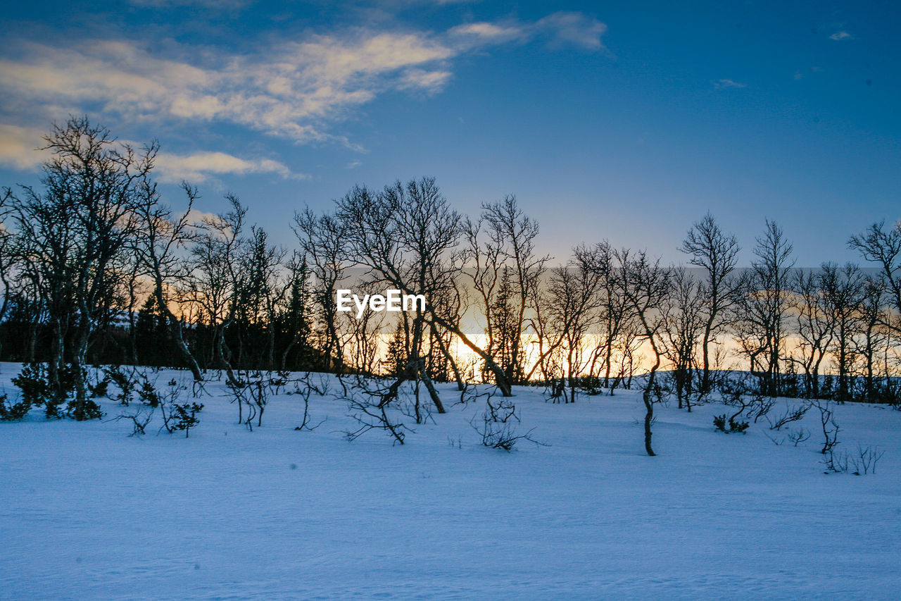 SNOW COVERED LANDSCAPE