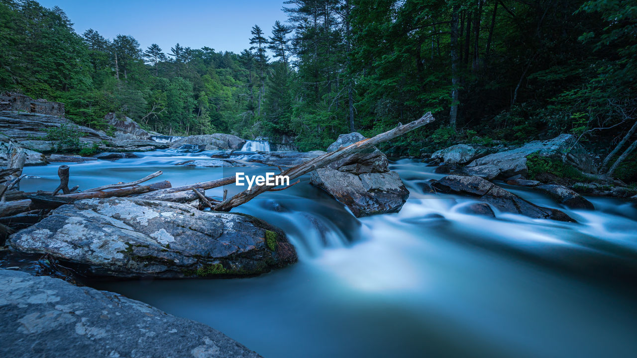 SURFACE LEVEL OF STREAM FLOWING IN FOREST