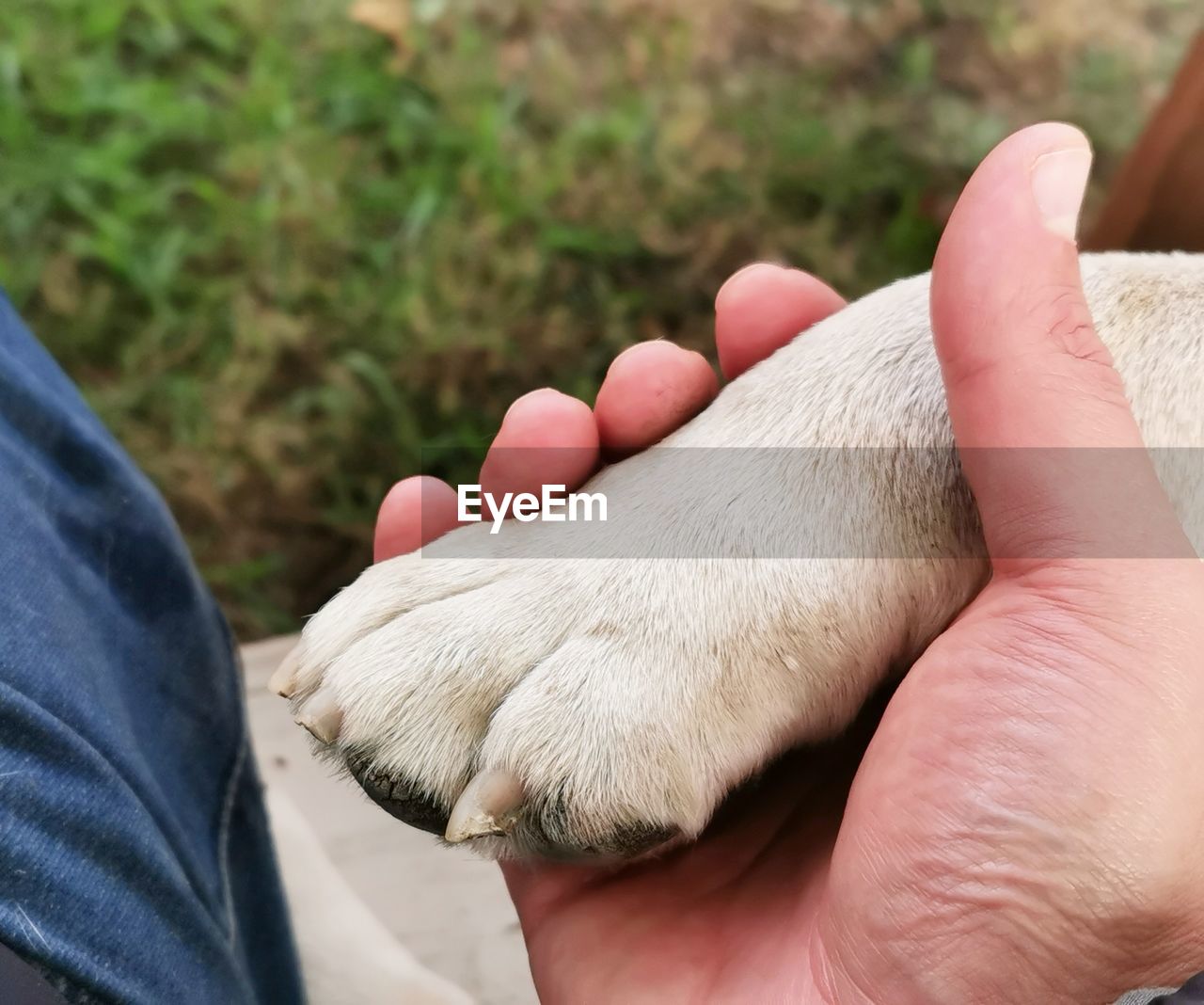 Close-up of person holding hand