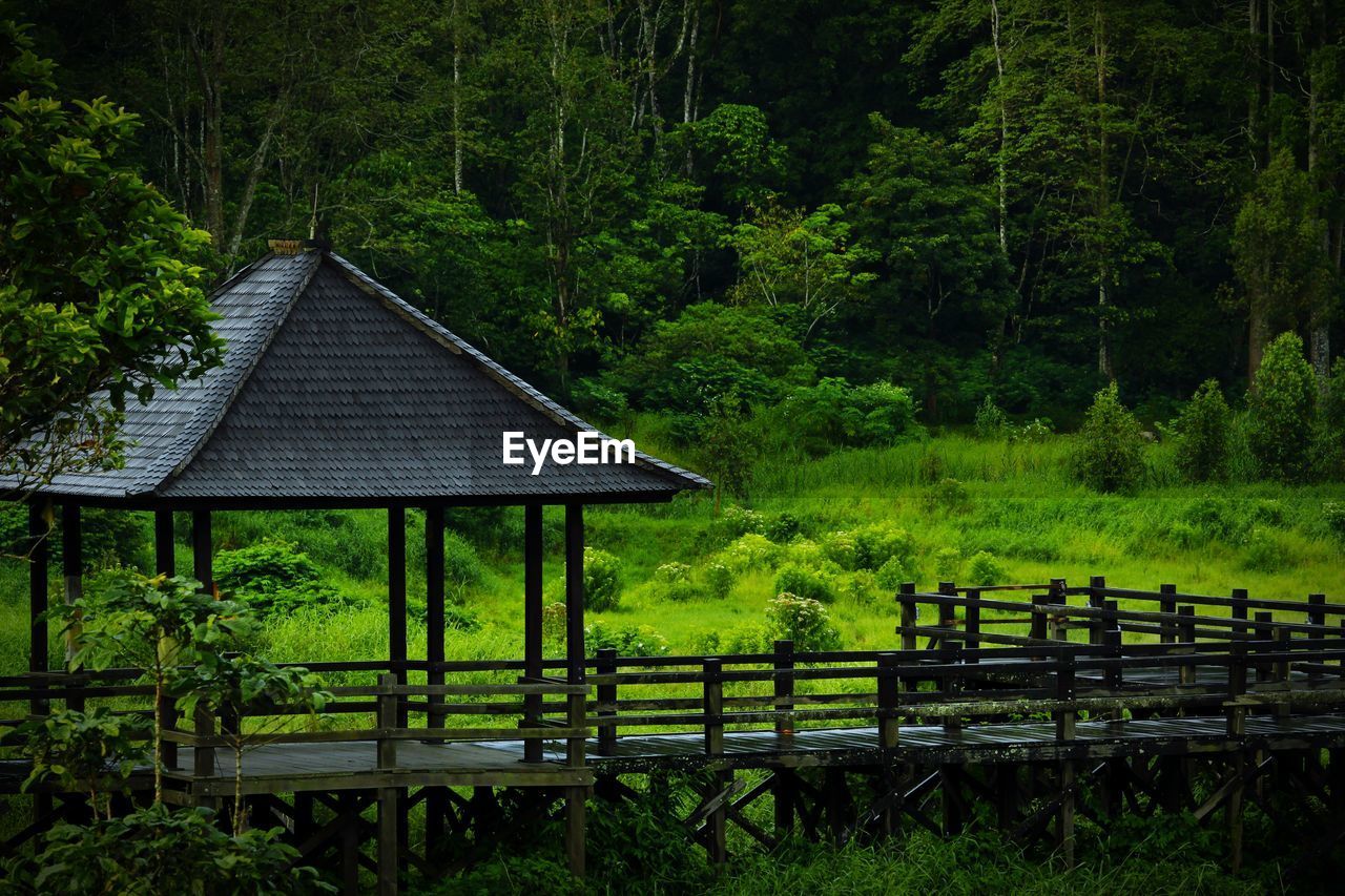 Wooden bridge