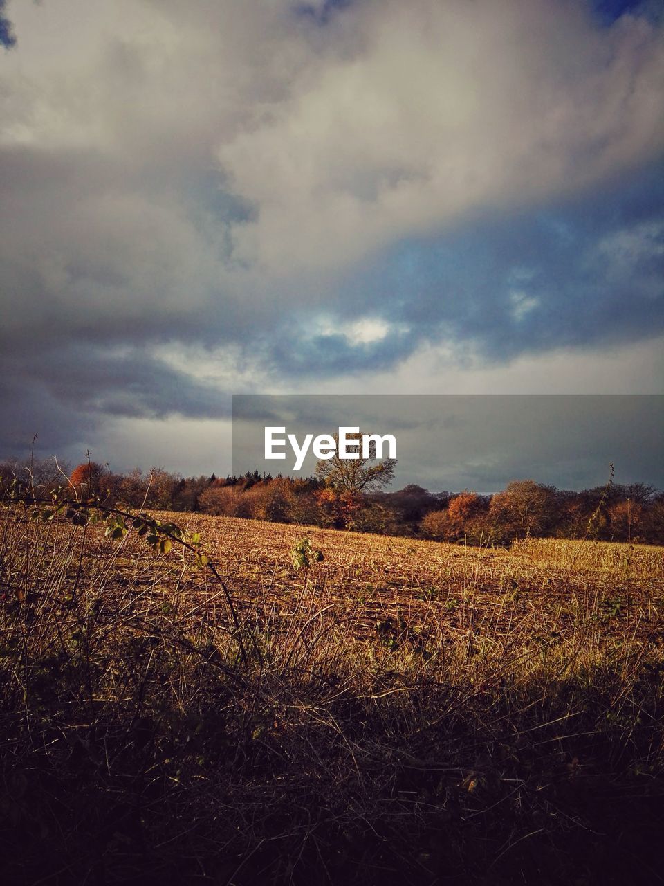 SCENIC VIEW OF LAND AGAINST SKY