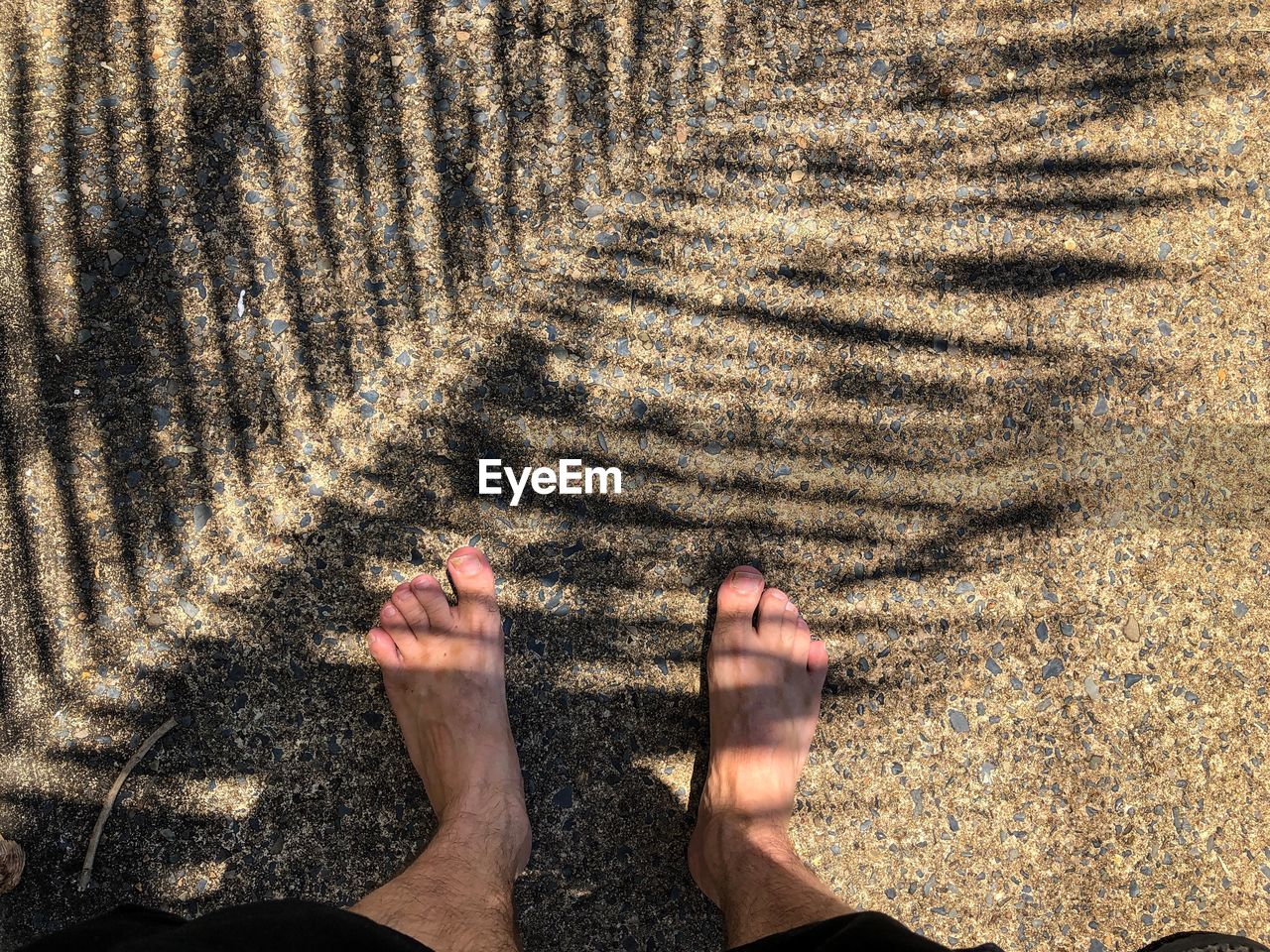 LOW SECTION VIEW OF PERSON STANDING ON SAND