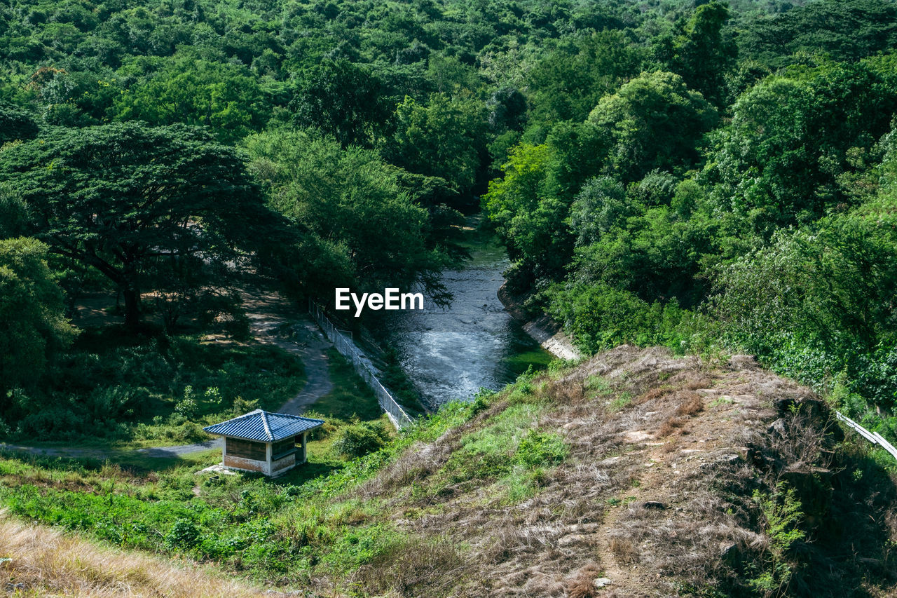 Scenic view of river amidst trees in forest