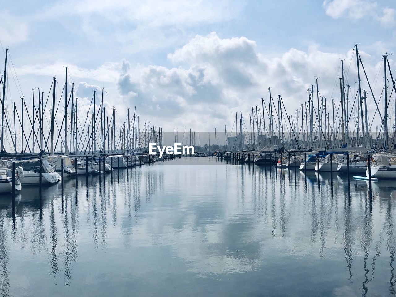 Sailboats in marina