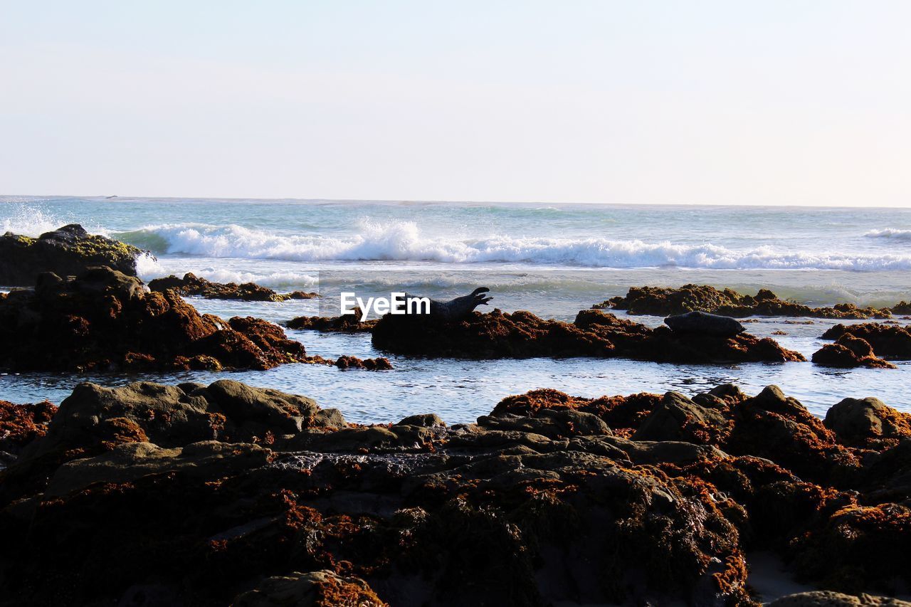 SCENIC VIEW OF ROCKS ON BEACH AGAINST SKY