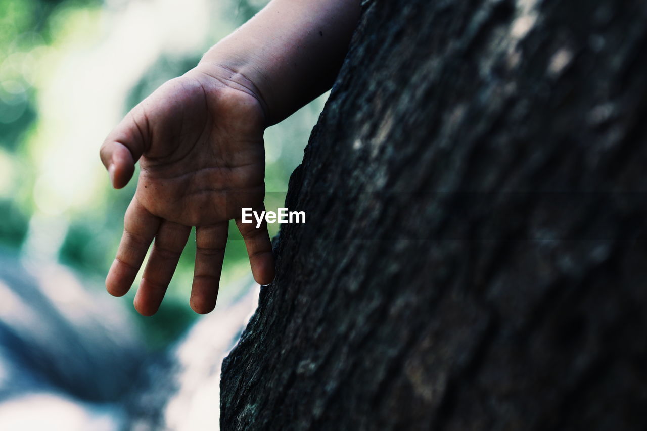 Close-up of human hand by tree trunk