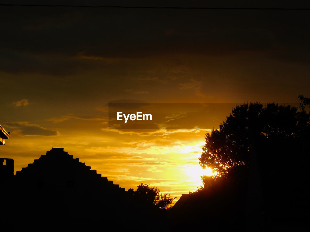 SILHOUETTE TREES AGAINST SKY DURING SUNSET
