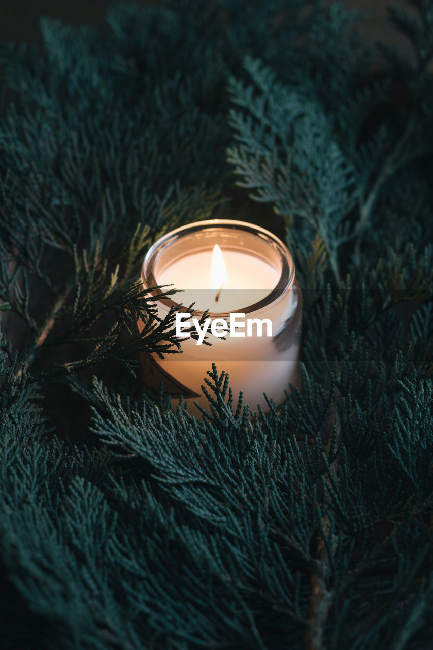 Close-up of illuminated candle in jar amidst christmas tree