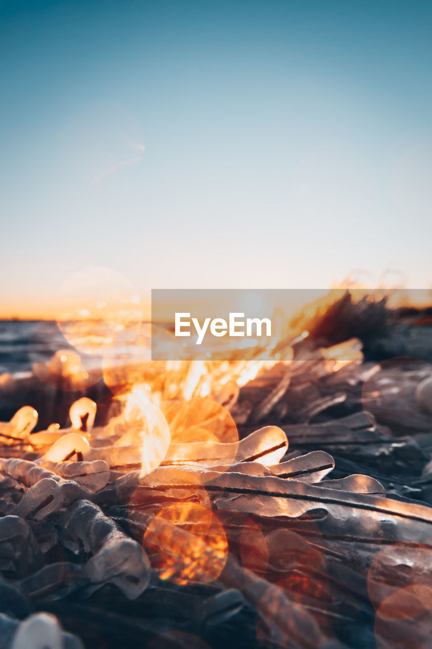 close-up of burning firewood