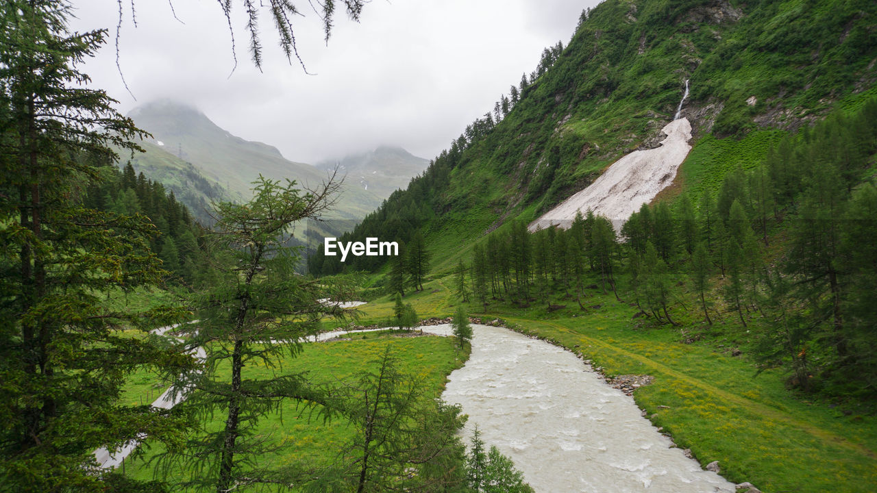 SCENIC VIEW OF MOUNTAINS AND TREES