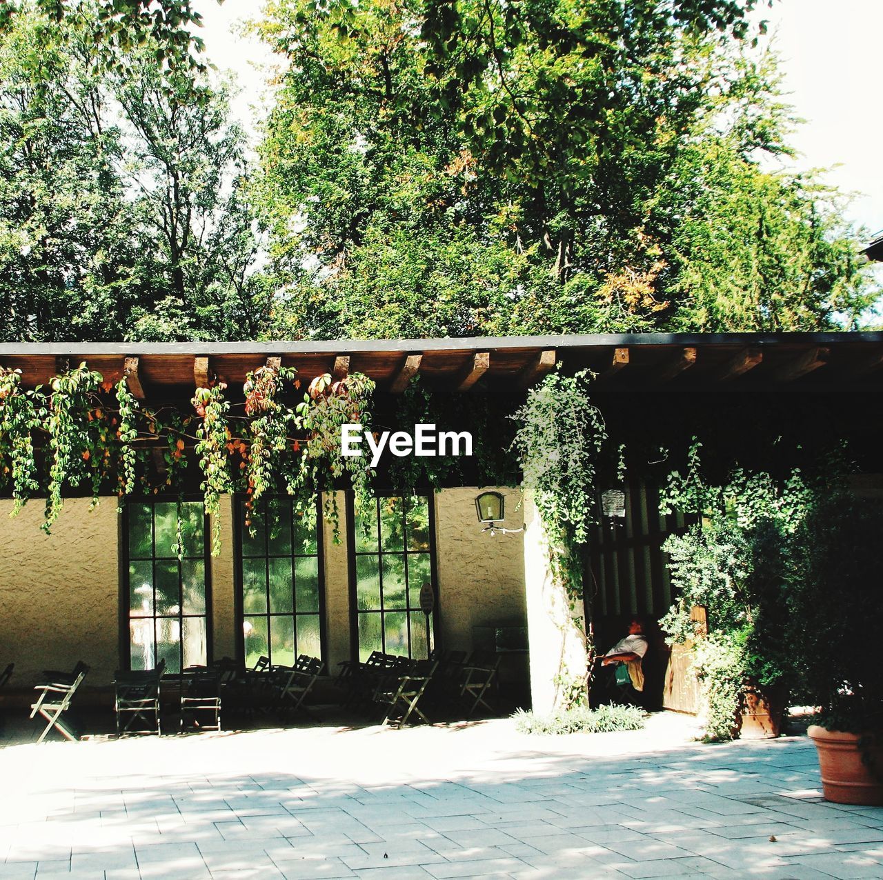 BUILT STRUCTURE BY TREES AGAINST PLANTS