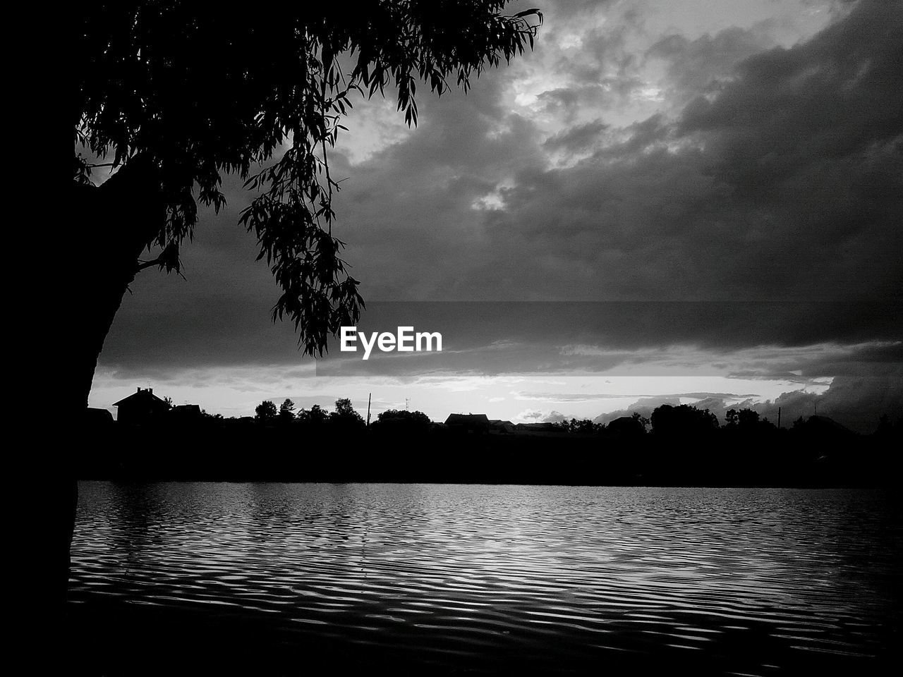 SILHOUETTE OF TREES AT DUSK