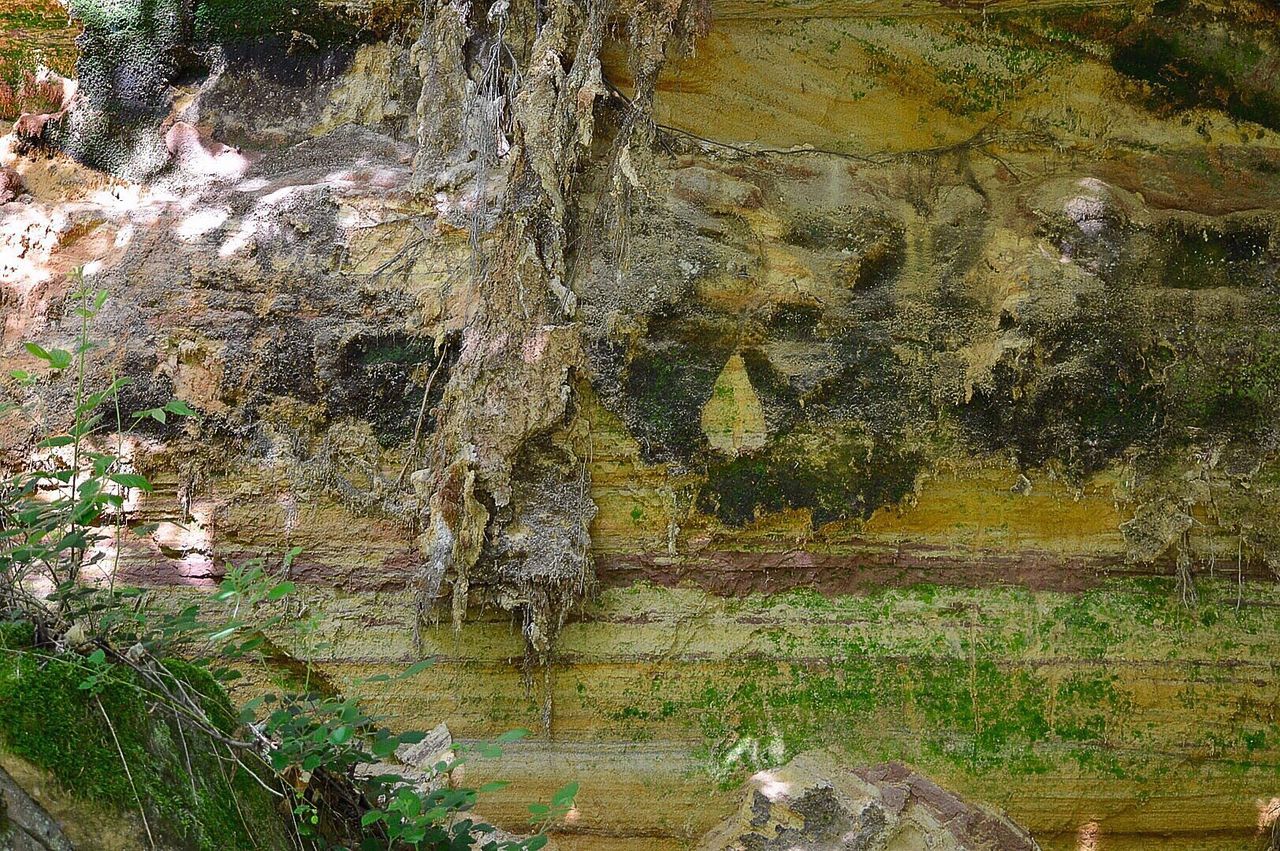 SCENIC VIEW OF CAVE AND TREES IN WATER