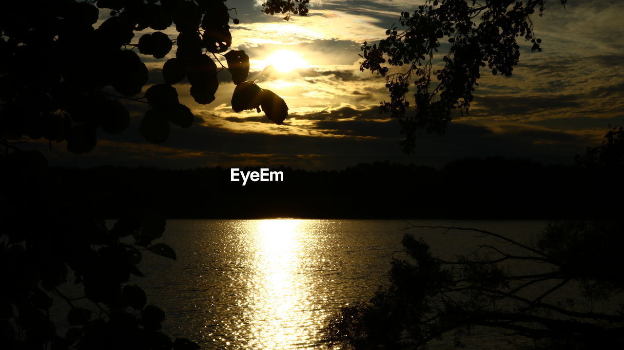 SILHOUETTE TREES BY LAKE AGAINST SKY AT SUNSET