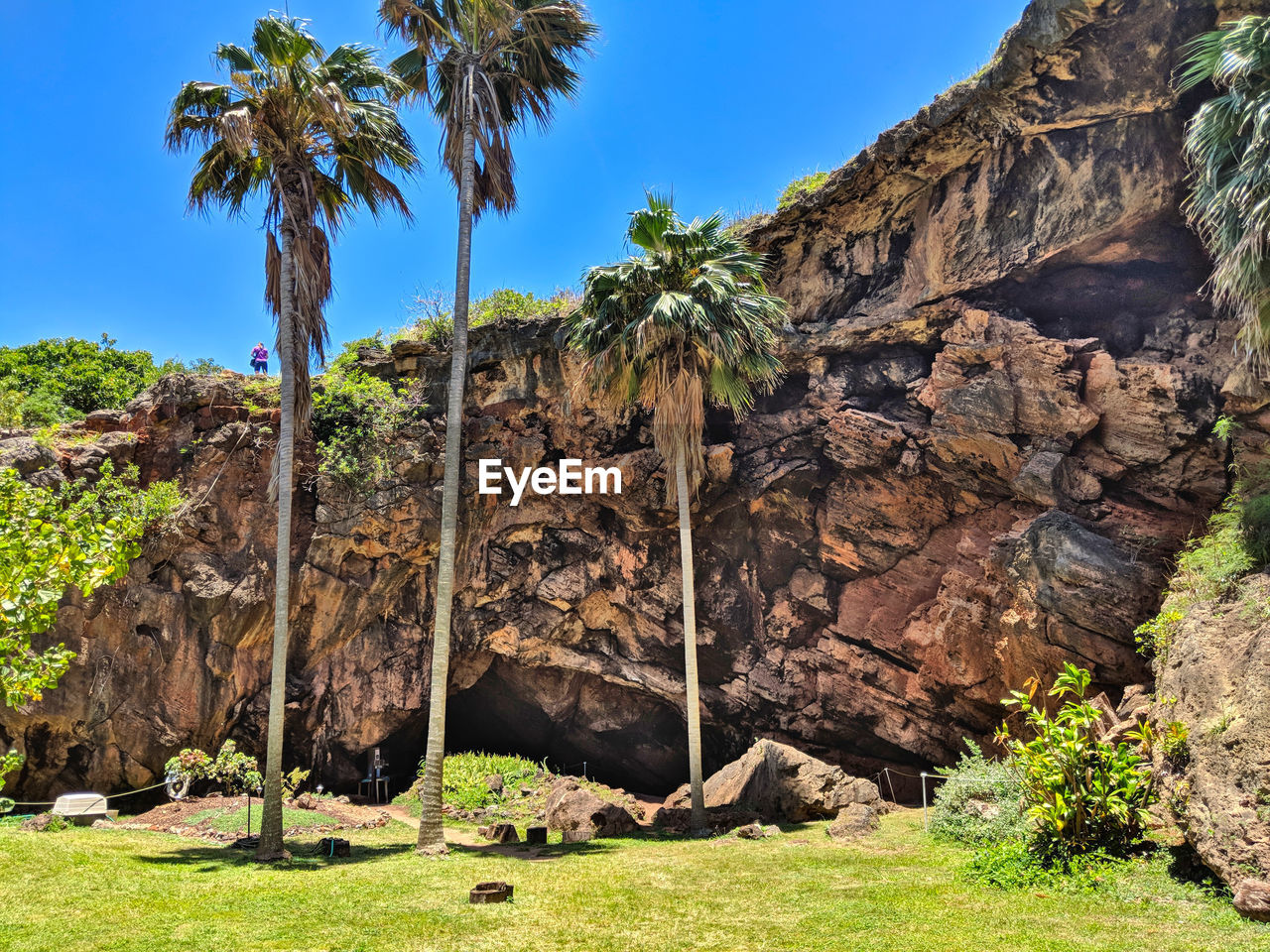 Palm trees against rocky mountain