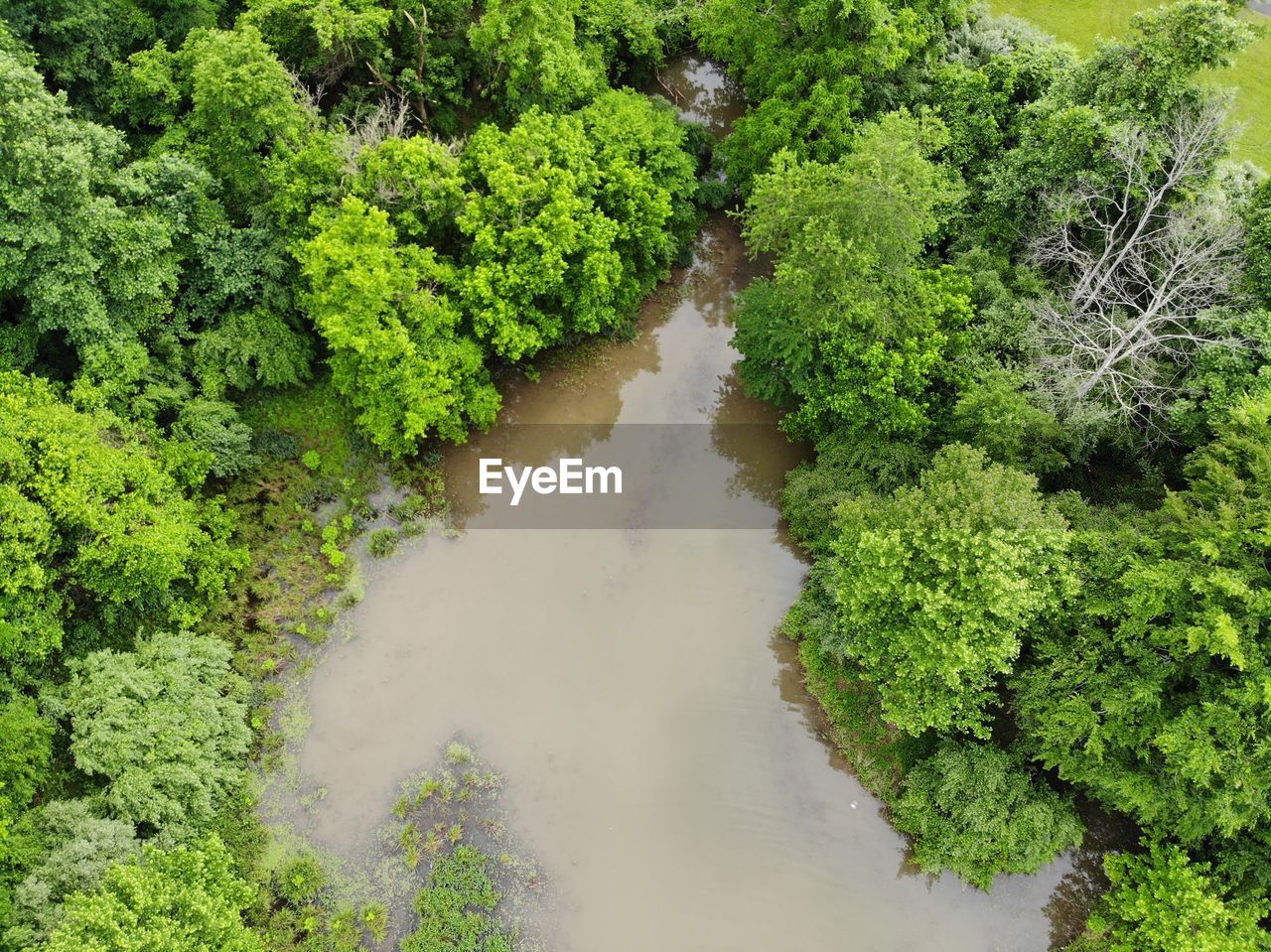 HIGH ANGLE VIEW OF WATER FLOWING IN FOREST