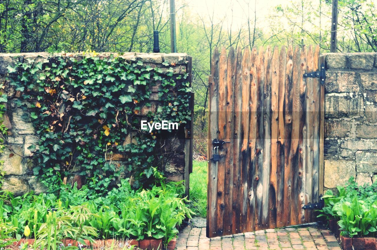 Open wooden gate on footpath in back yard