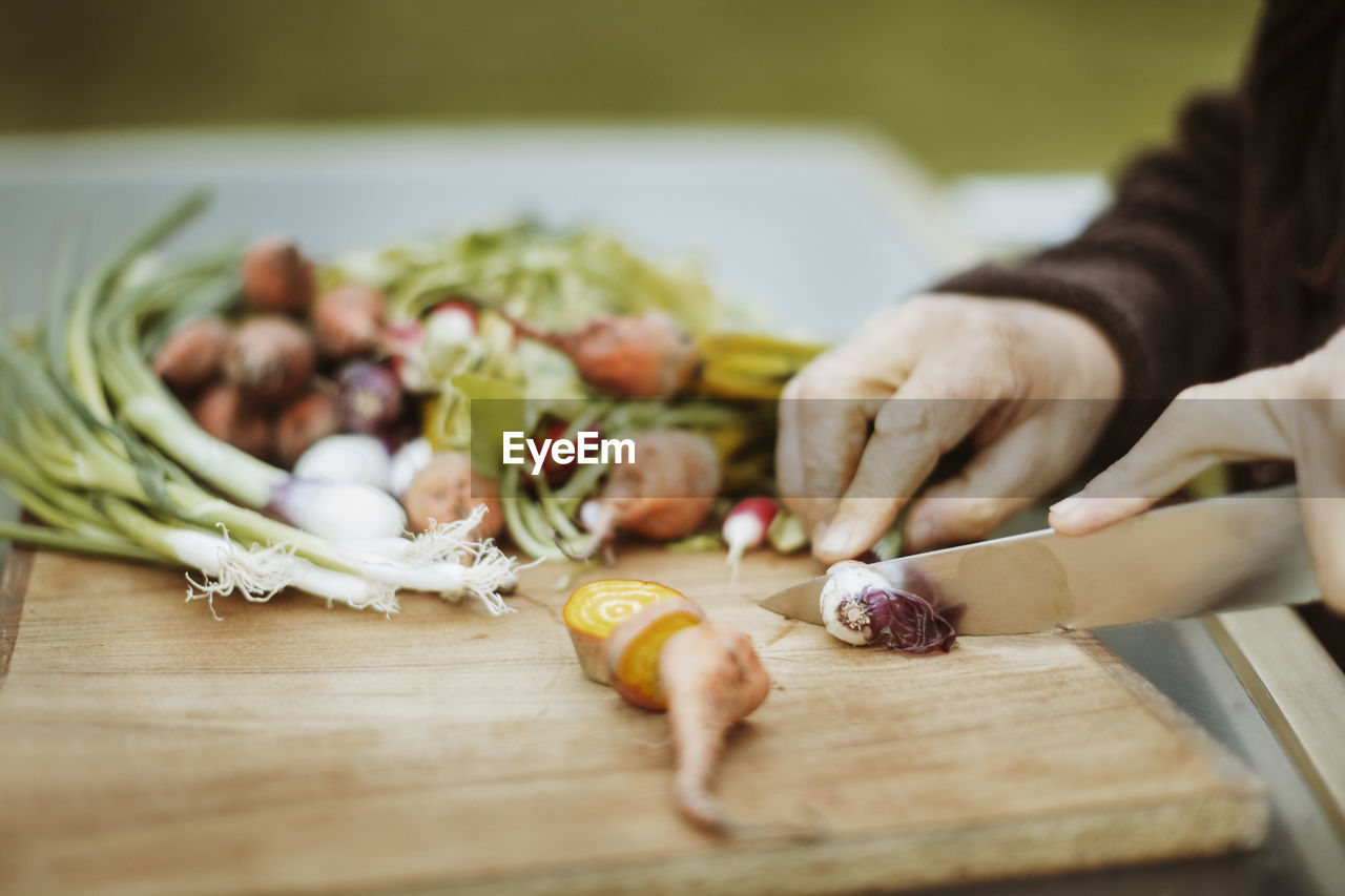 Cropped hands of senior man cutting freshly harvested spring onion at table