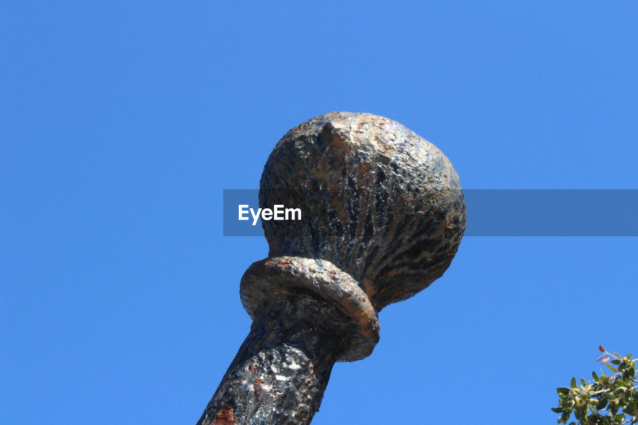 LOW ANGLE VIEW OF TREE AGAINST CLEAR SKY