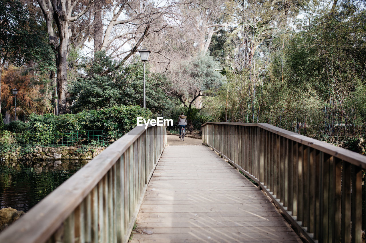 FOOTBRIDGE AMIDST TREES AND PLANTS