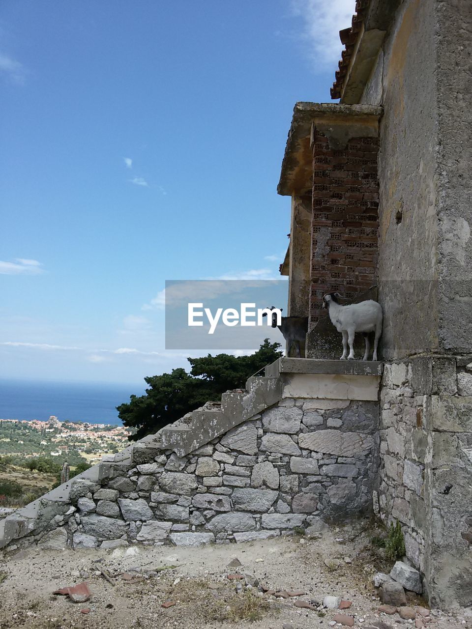 HORSE IN FRONT OF BUILT STRUCTURE