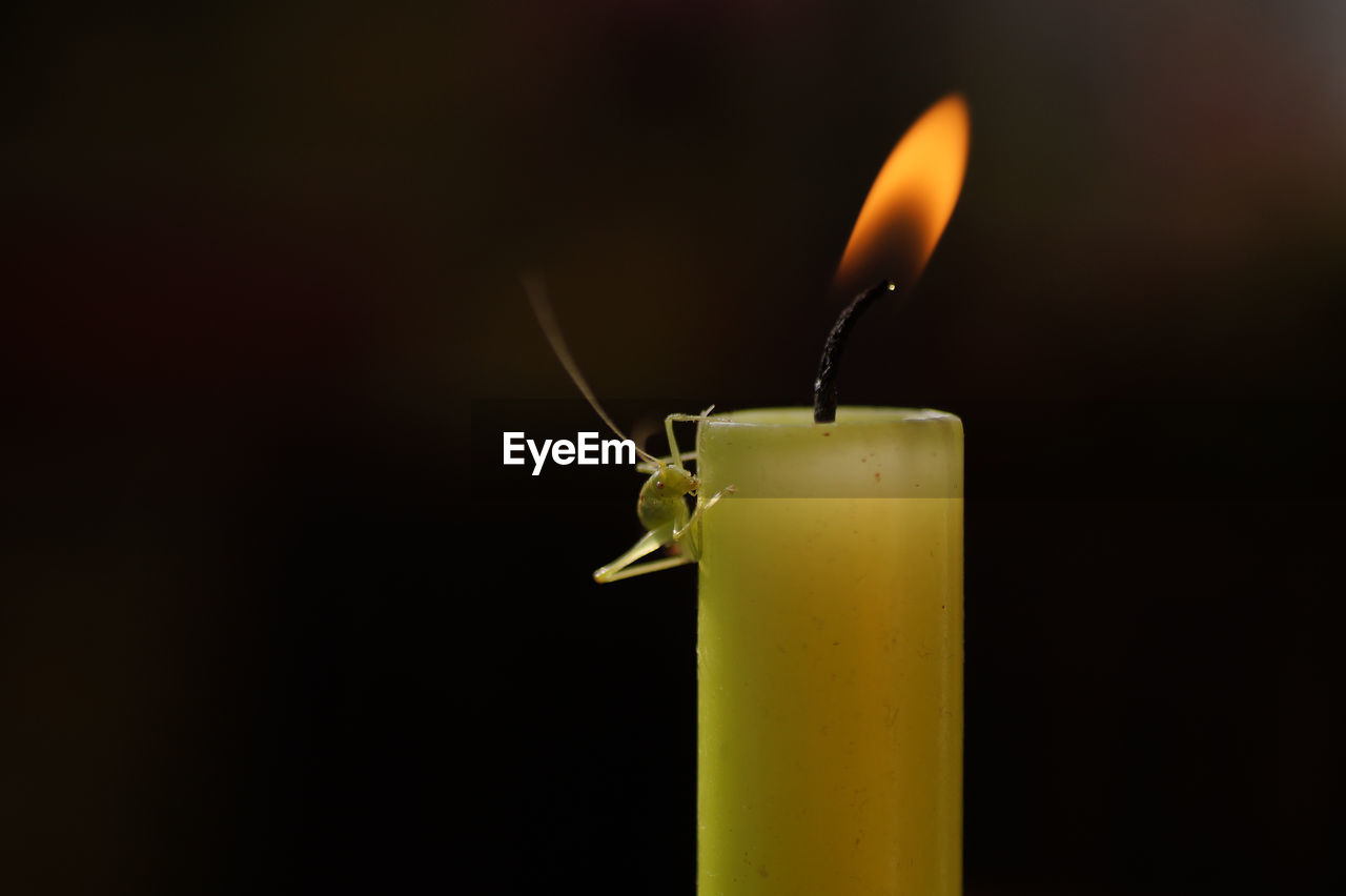 Close-up of igniting candle against black background