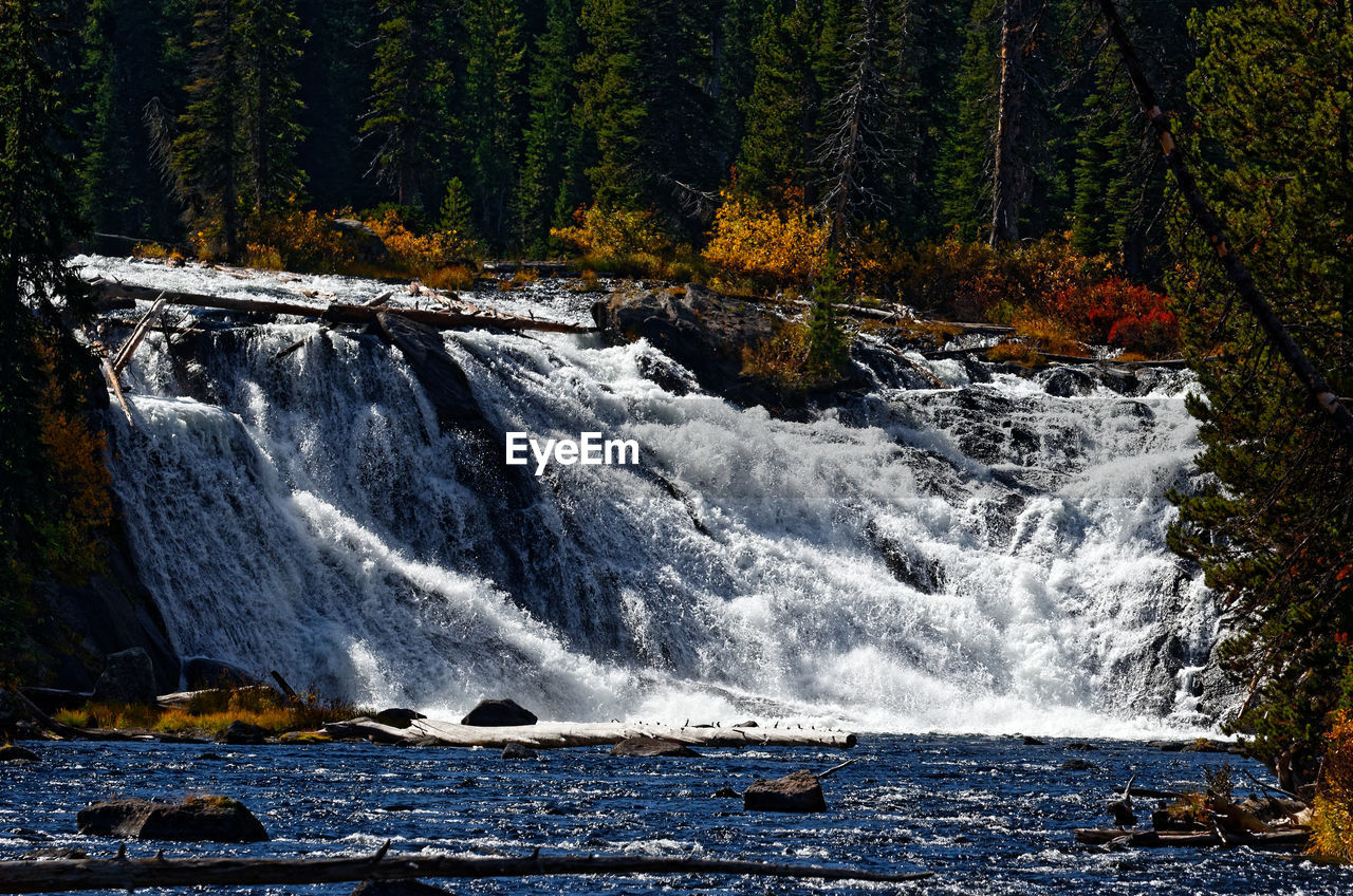 SCENIC VIEW OF WATERFALL AGAINST TREES