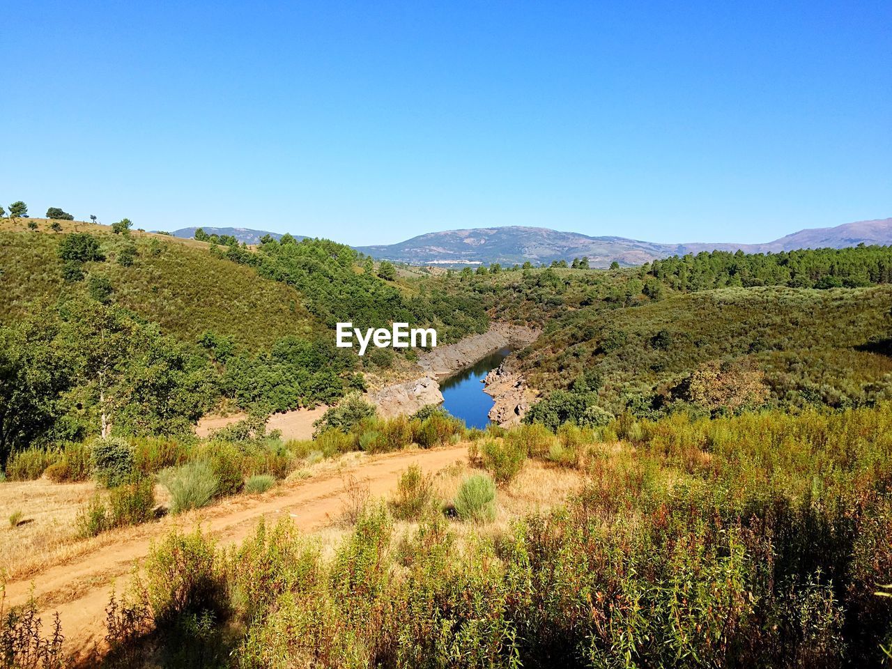 Scenic view of landscape against clear blue sky