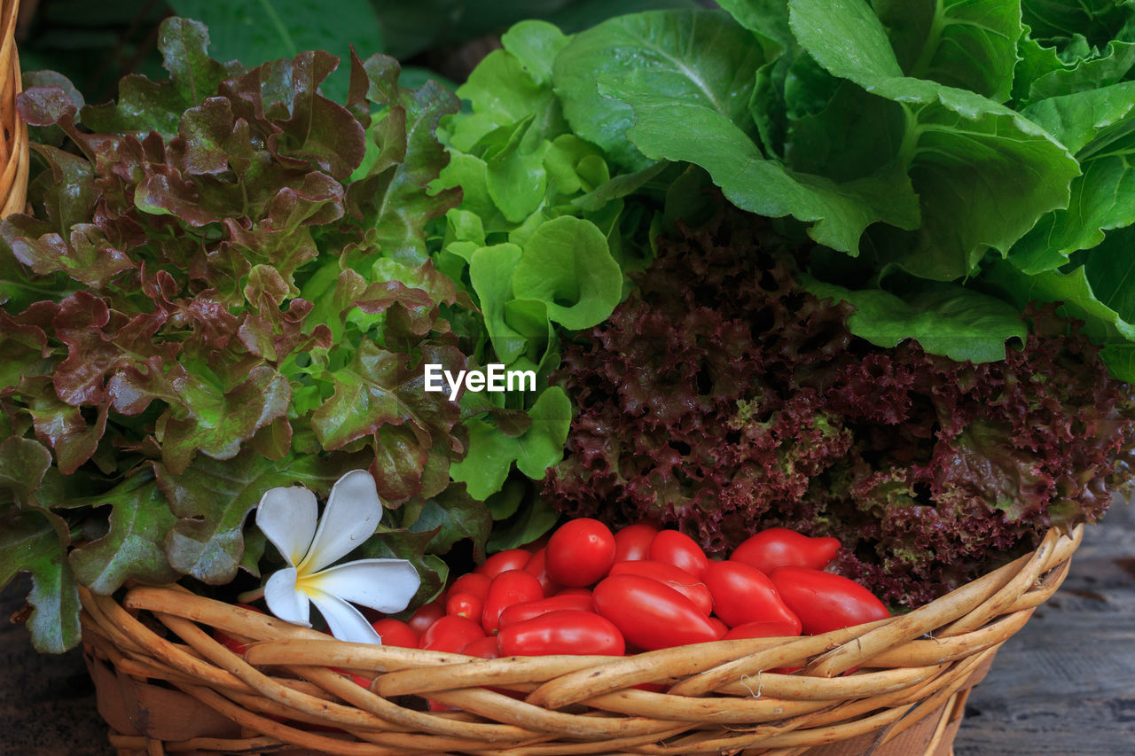 Close-up of vegetables