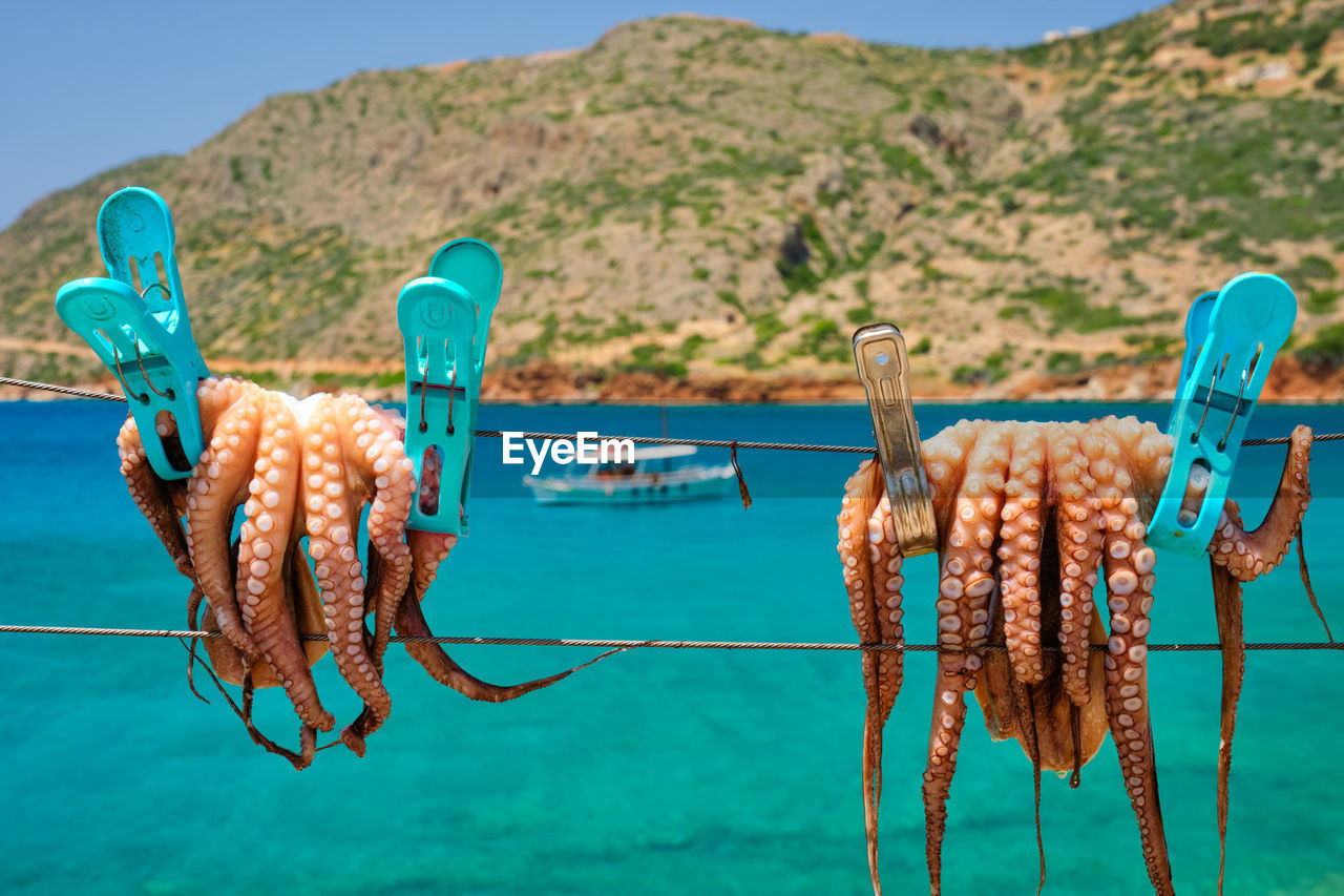 CLOSE-UP OF ROPES ON SHORE AGAINST BLUE SEA