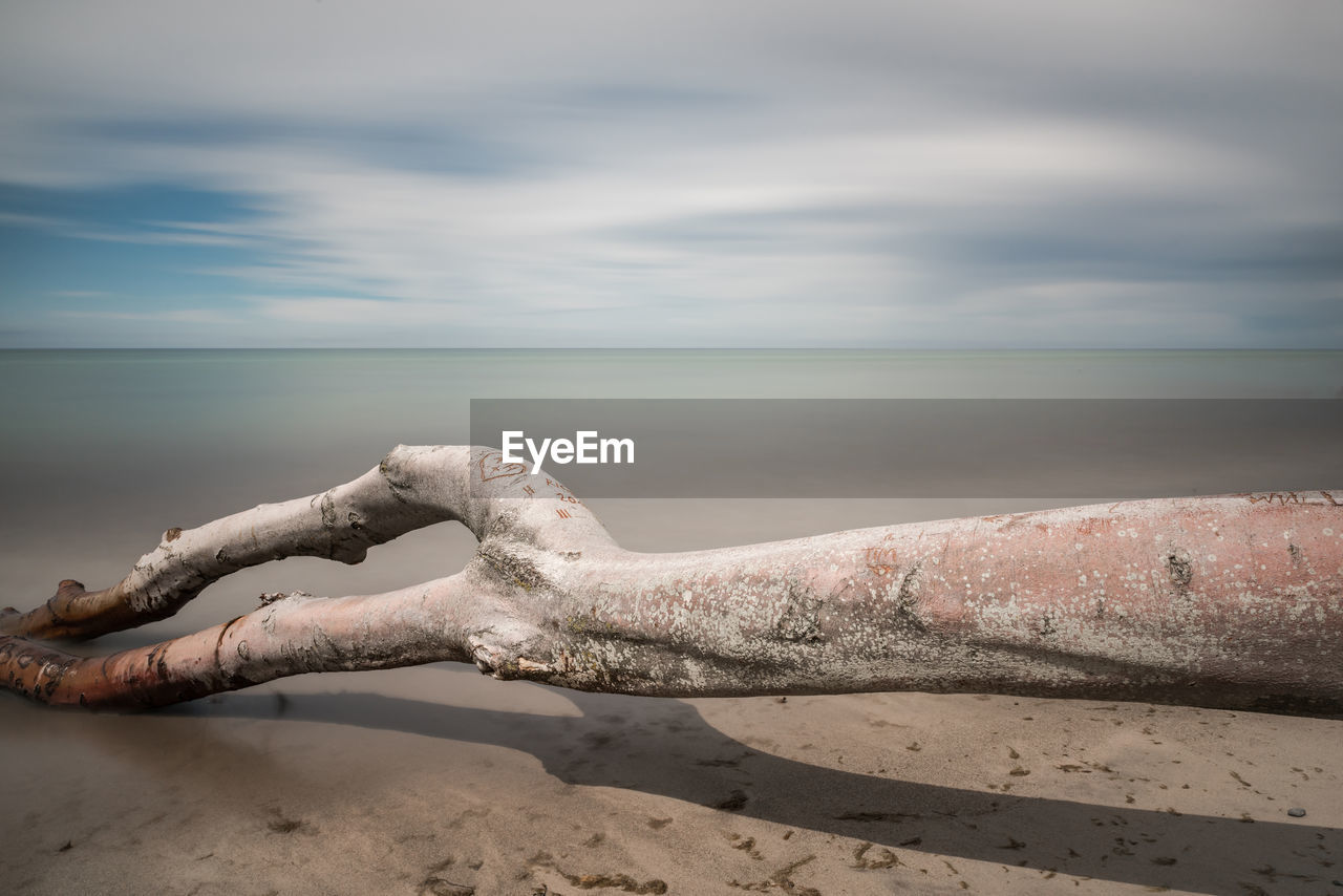 Close-up of sea shore against sky