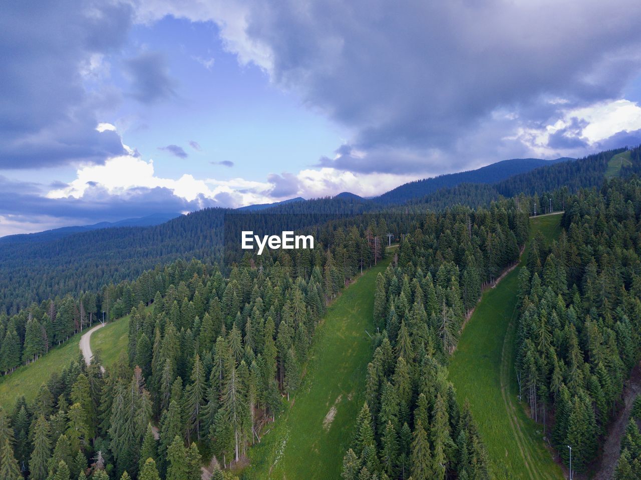 PANORAMIC SHOT OF TREES ON LAND AGAINST SKY