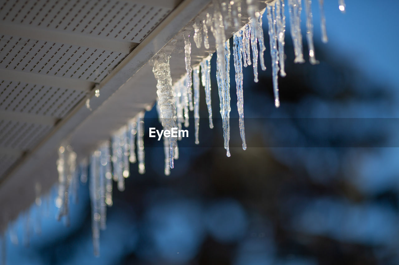 Close-up of icicles hanging in row