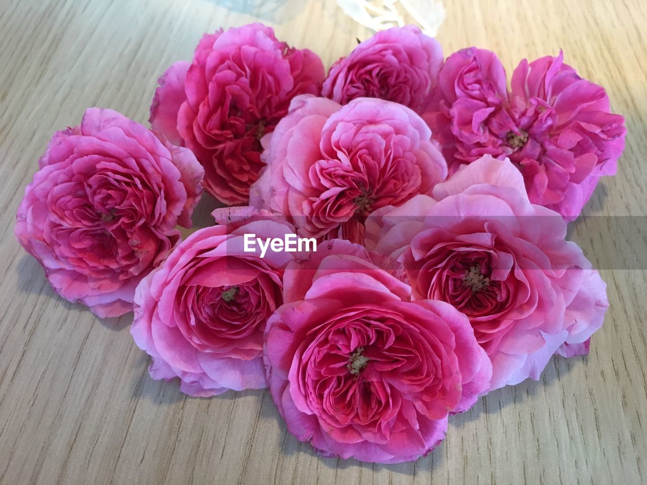 High angle view of pink rose bouquet