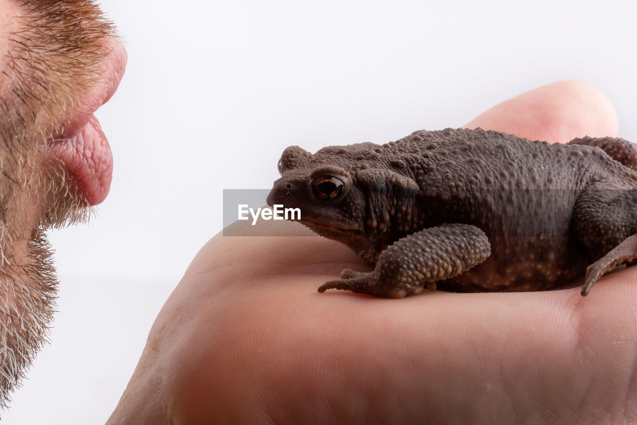 CLOSE-UP OF MAN HAND FEEDING