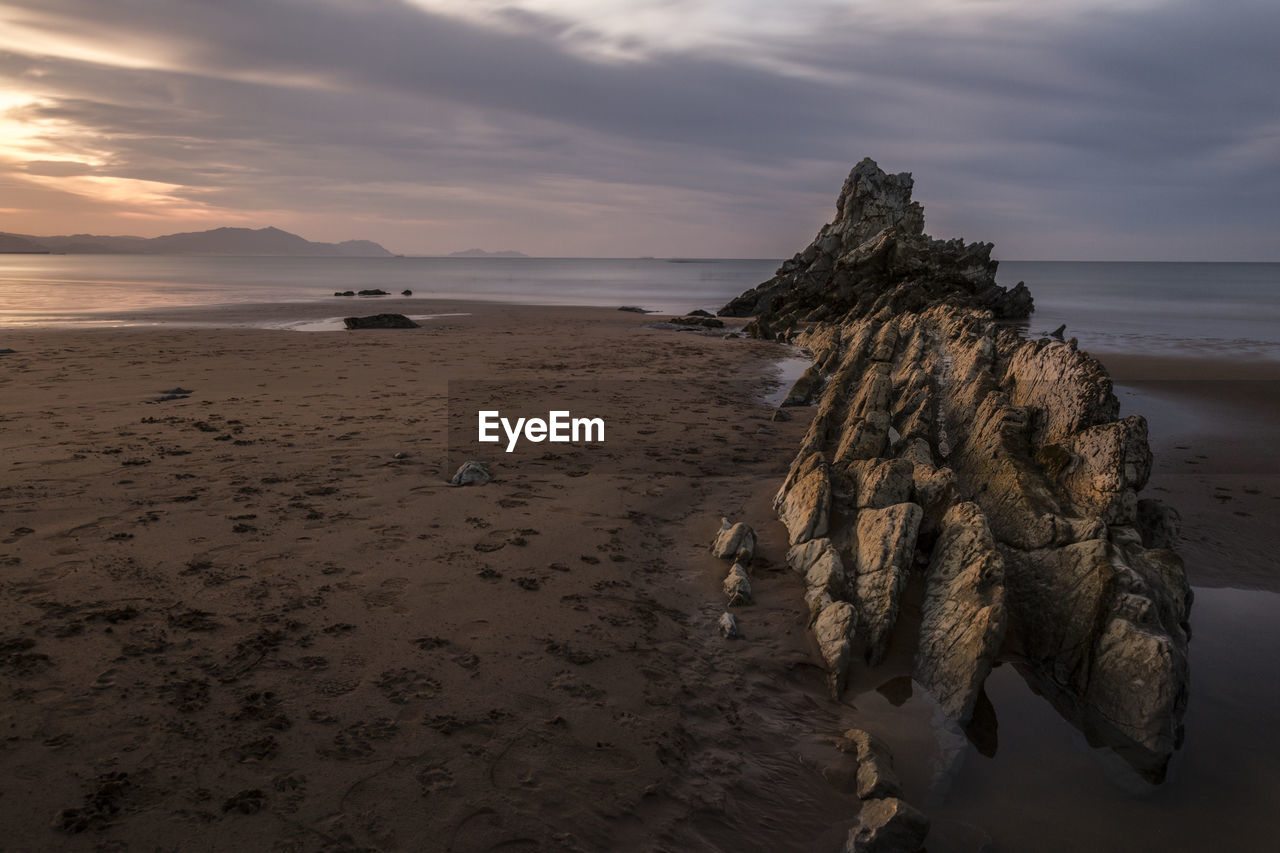 Driftwood on beach