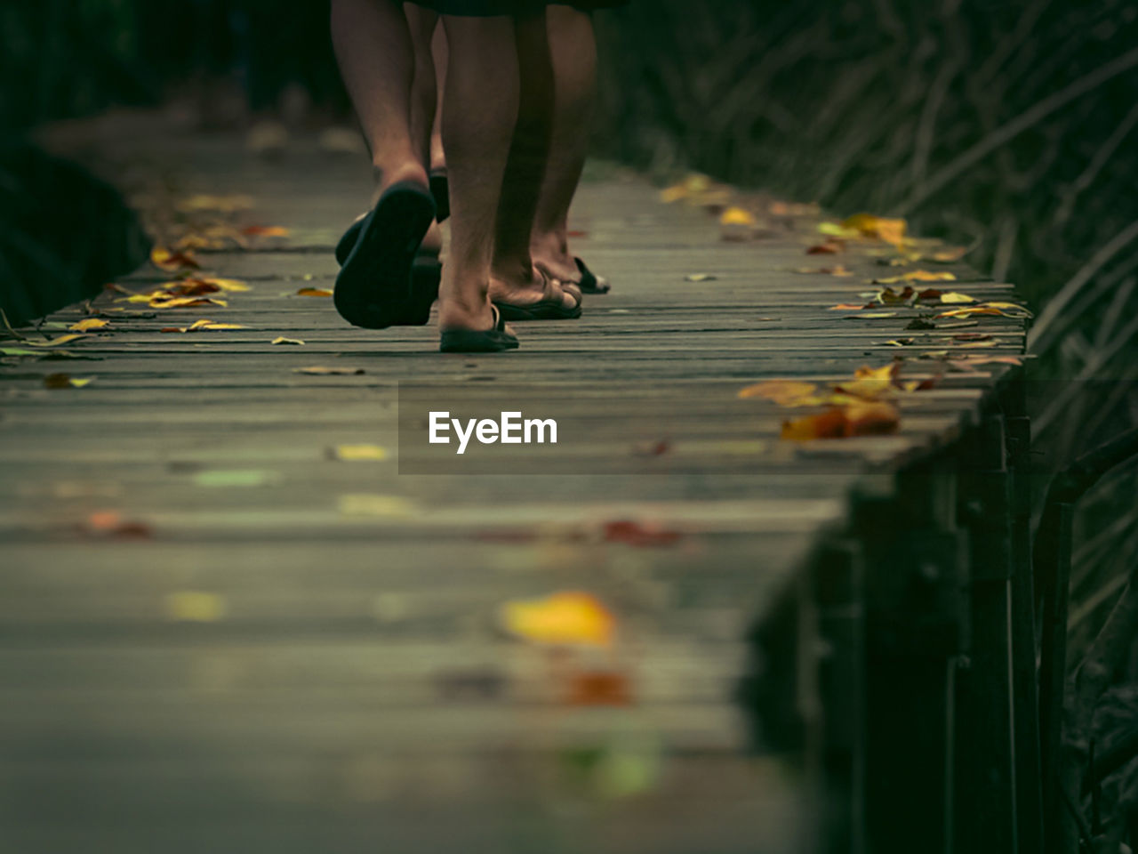 Low section of woman standing on footpath