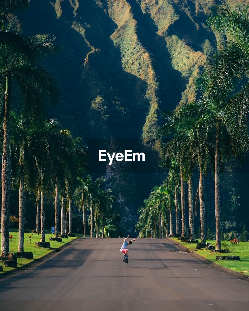 Rear view of woman on road amidst trees