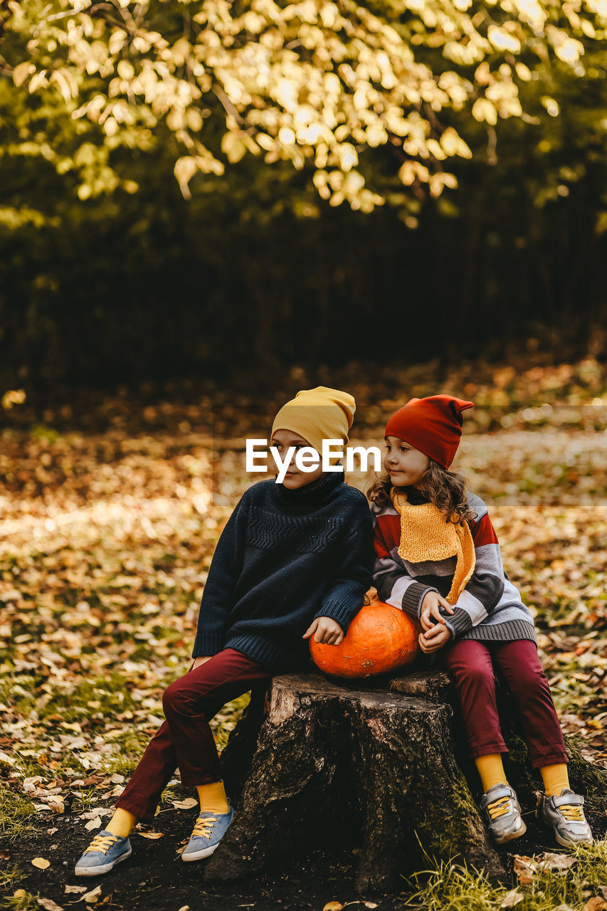 A little girl and a boy children are sitting on a tree stump with a large pumpkin in an autumn park