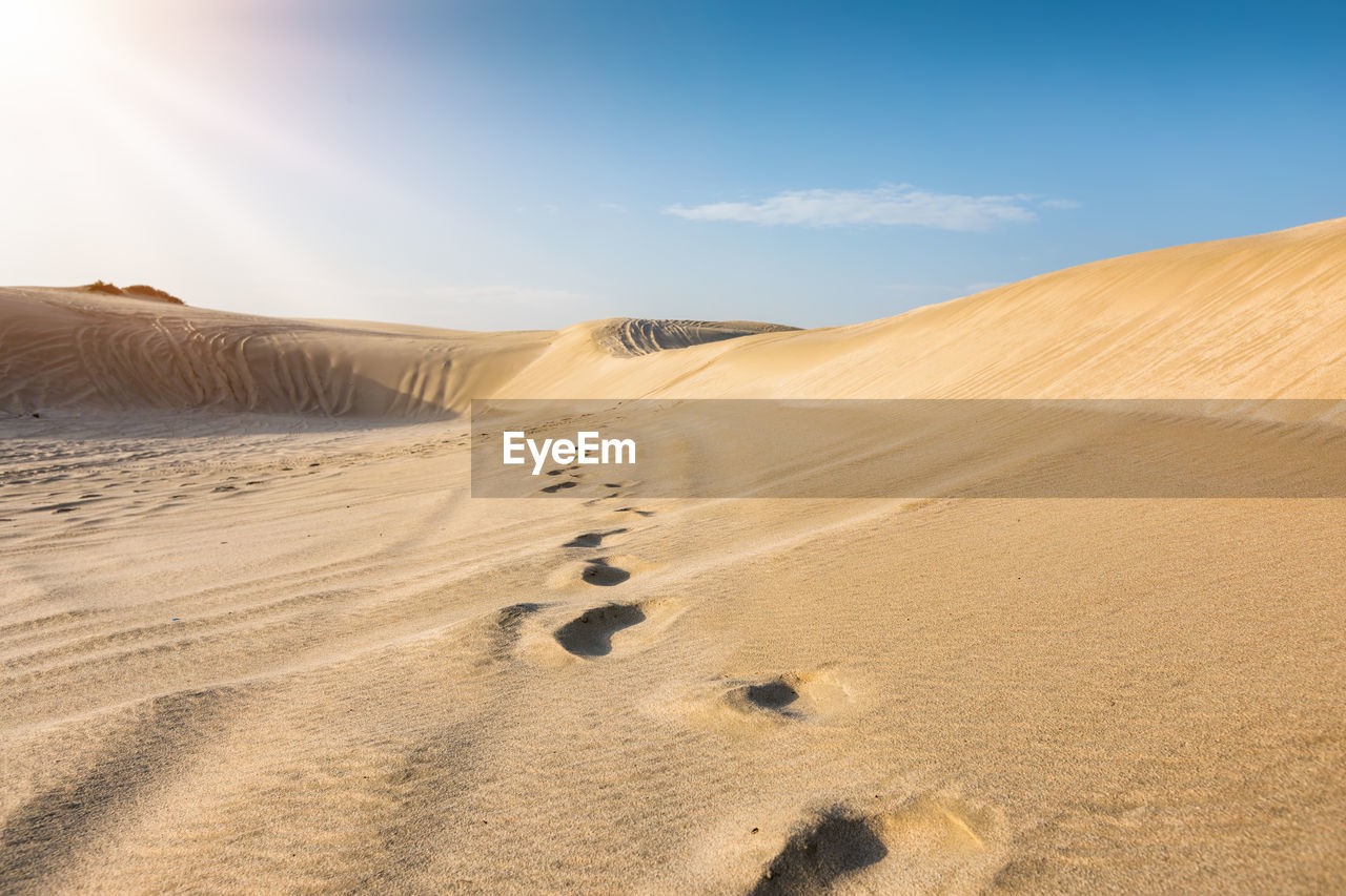 Sand dunes in desert against sky