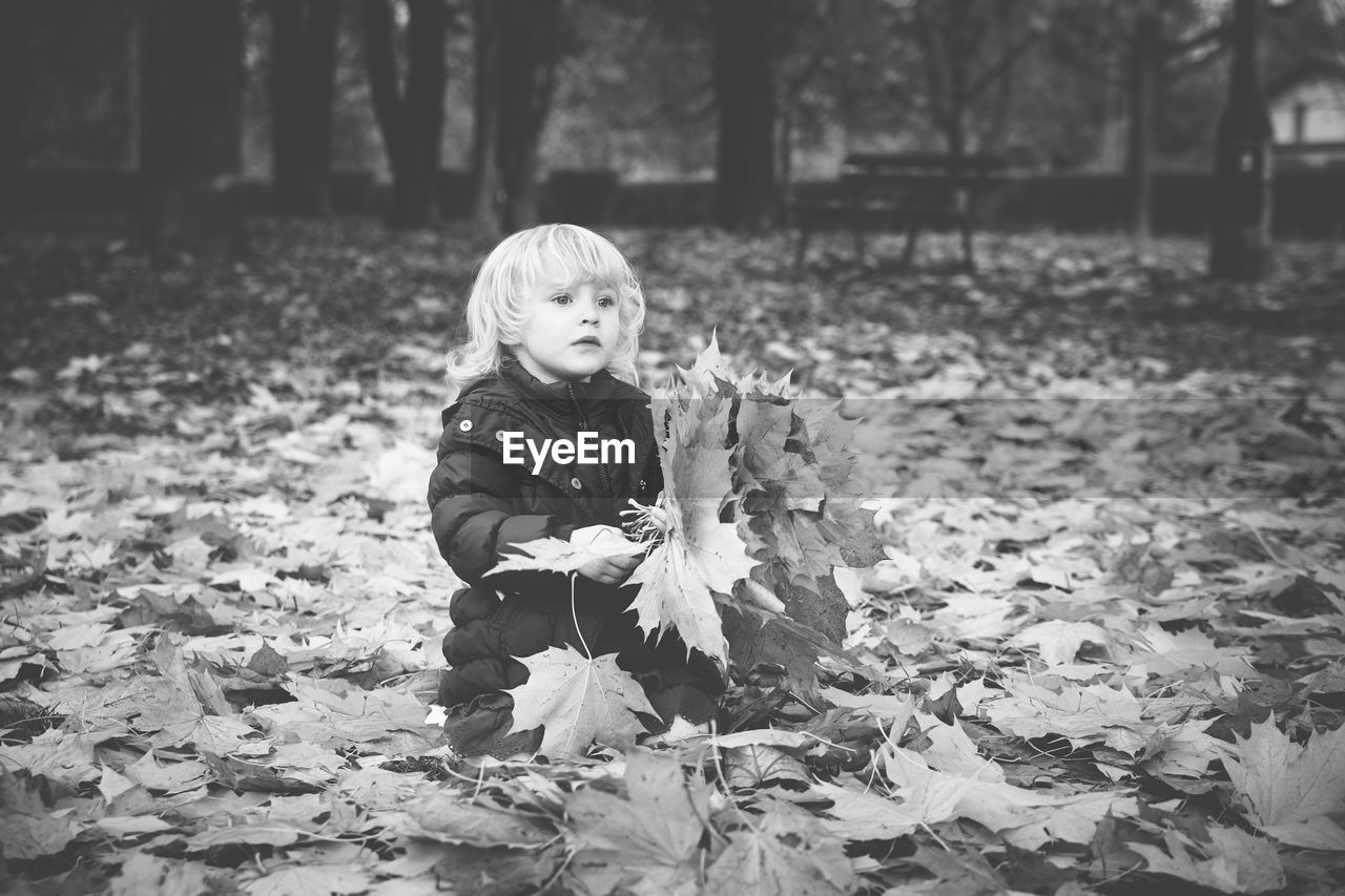 Girl playing with autumn leaves