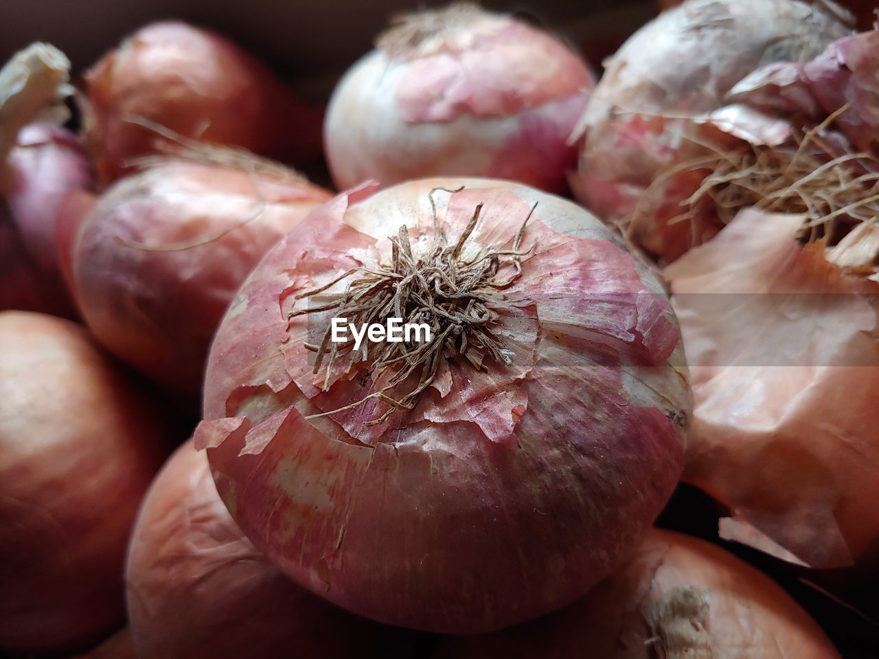 Closeup shot onions