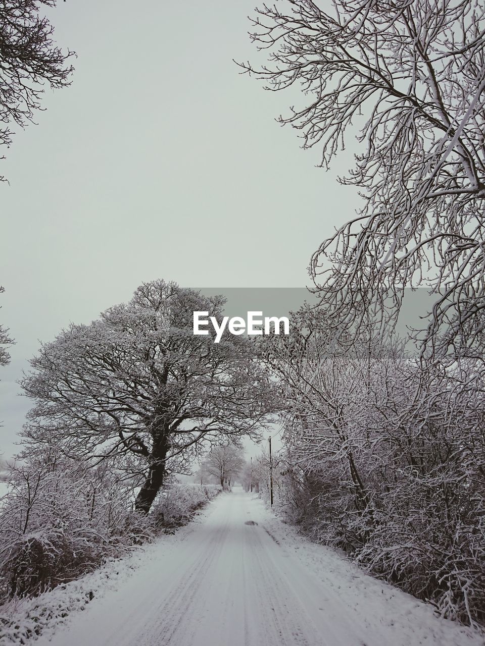 Road amidst snow covered trees against sky