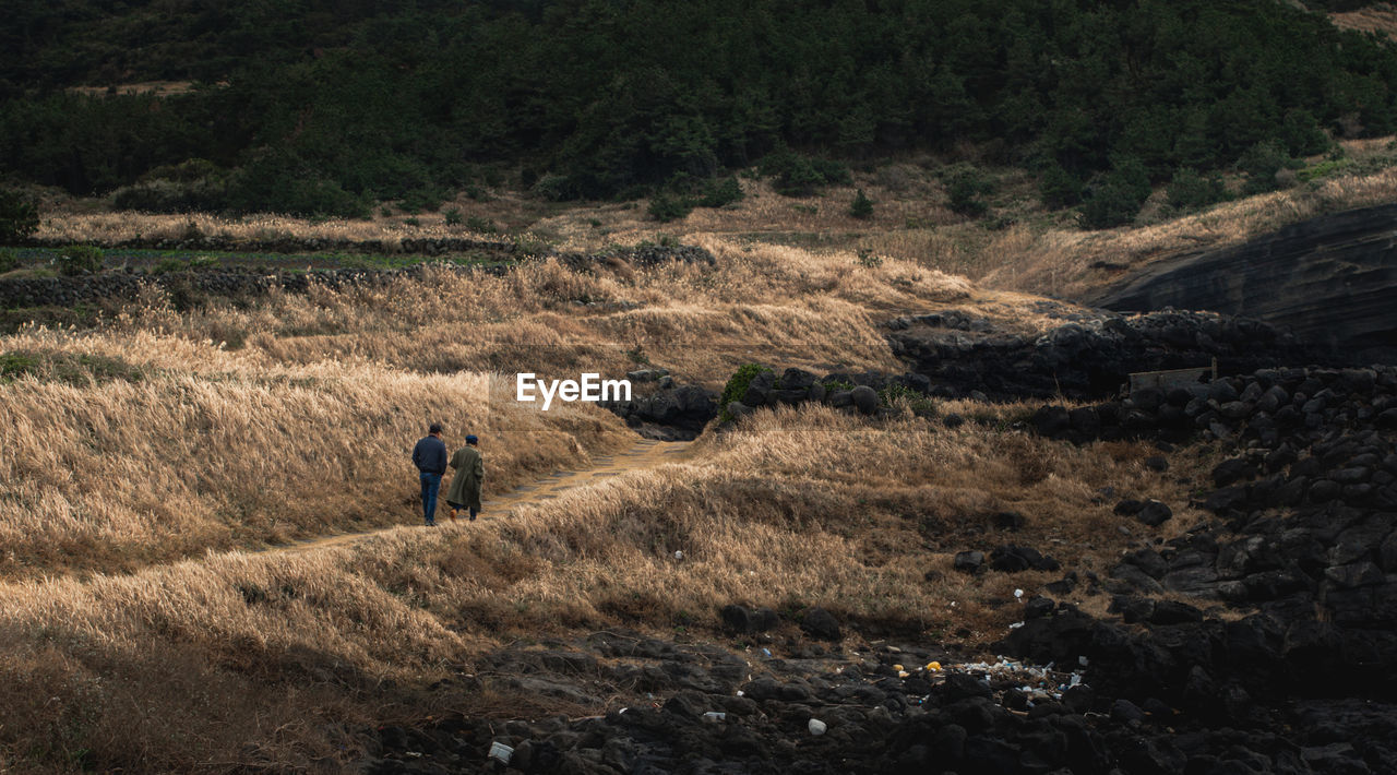 Rear view of a couple walking on landscape