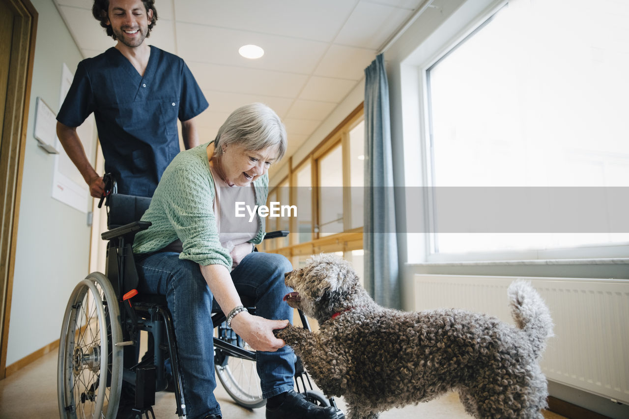 Smiling male nurse looking at disabled senior woman on wheelchair giving handshake to dog in alley