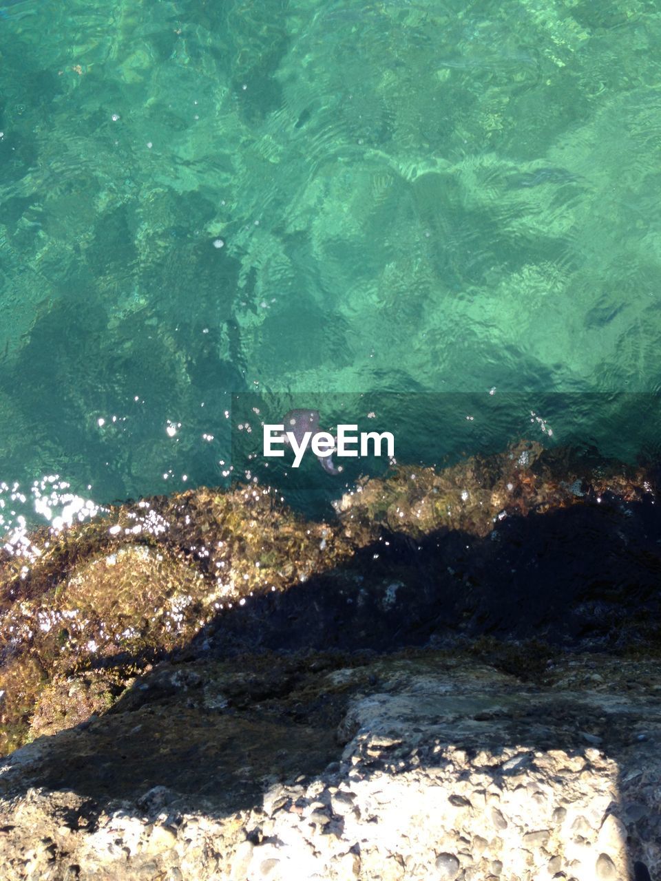High angle view of sea