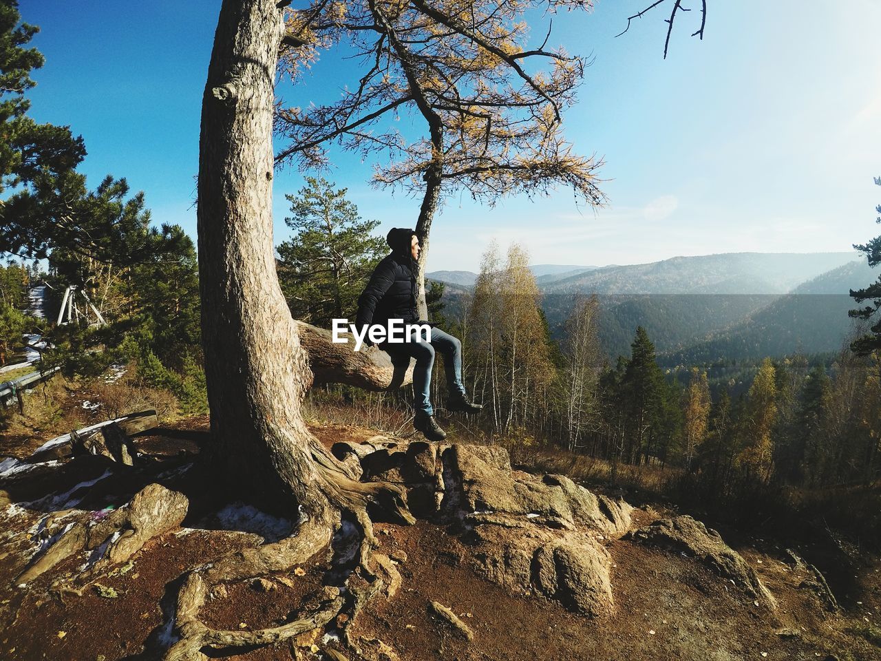 Man sitting on tree in forest against sky