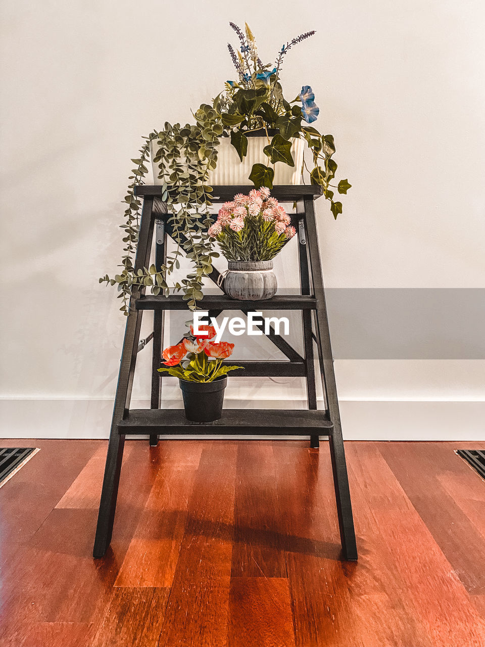 plant, flower, flowering plant, nature, indoors, hardwood floor, no people, table, vase, home interior, decoration, flooring, ikebana, wood, flower arrangement, potted plant, seat, furniture, floristry, chair, beauty in nature, freshness, art, growth, flowerpot, bouquet, houseplant, floral design, wall - building feature