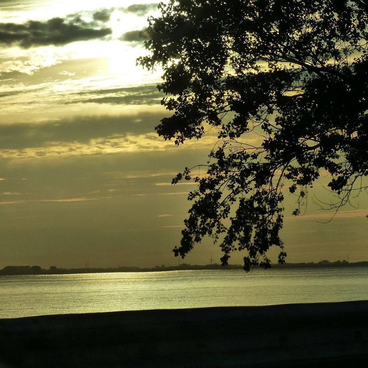 SILHOUETTE TREE BY SEA AGAINST SKY